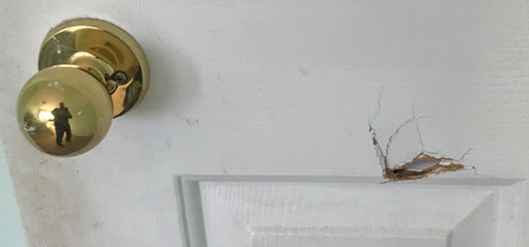 interior door hole repair Monterey Park
