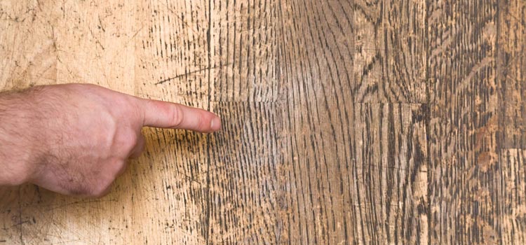 Wood Door Scratch Repair in Monterey Park